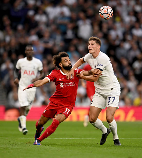 盖面积广 盖面积广